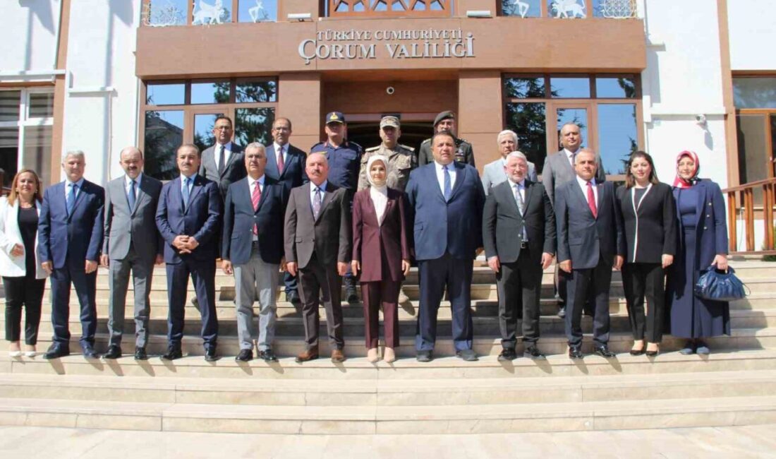 Aile ve Sosyal Hizmetler Bakanı Mahinur Özdemir Göktaş, “Amacımız aile