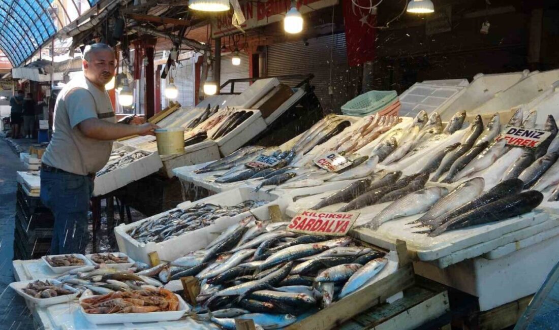 Akdeniz’de 15 Eylül’de sona eren av yasağının ardından balıkçılar ’vira