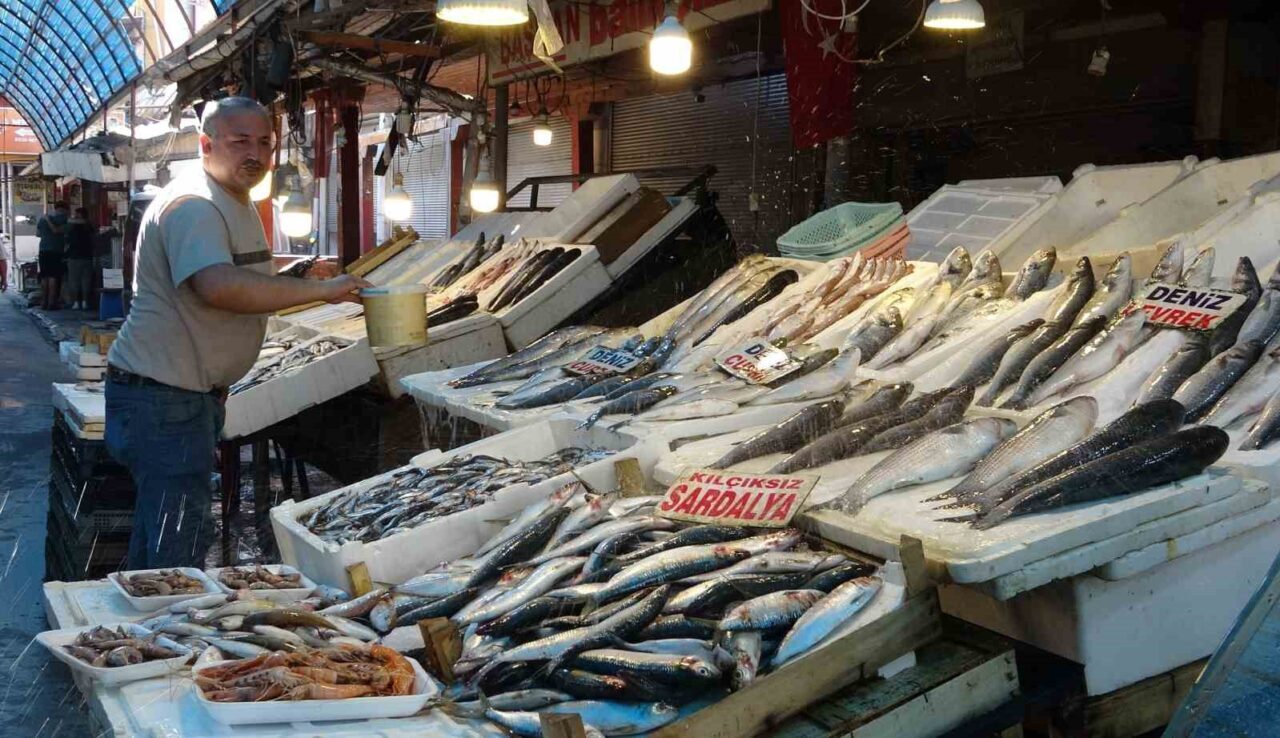 Akdeniz’de 15 Eylül’de sona eren av yasağının ardından balıkçılar ’vira