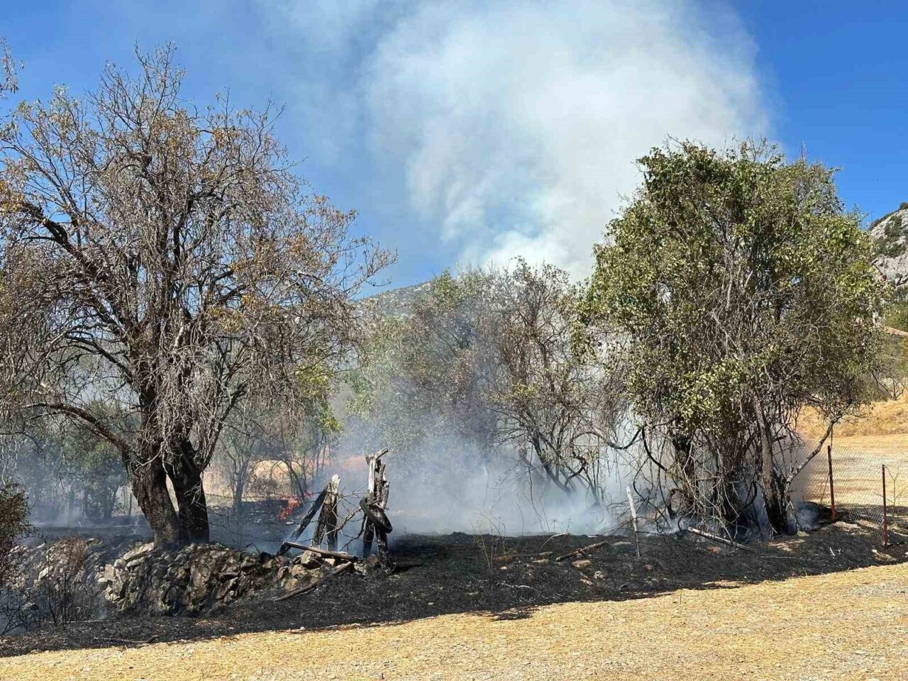 Antalya’nın Akseki ilçesinde çıkan otluk yangını, itfaiye ekiplerinin hızlı müdahalesiyle