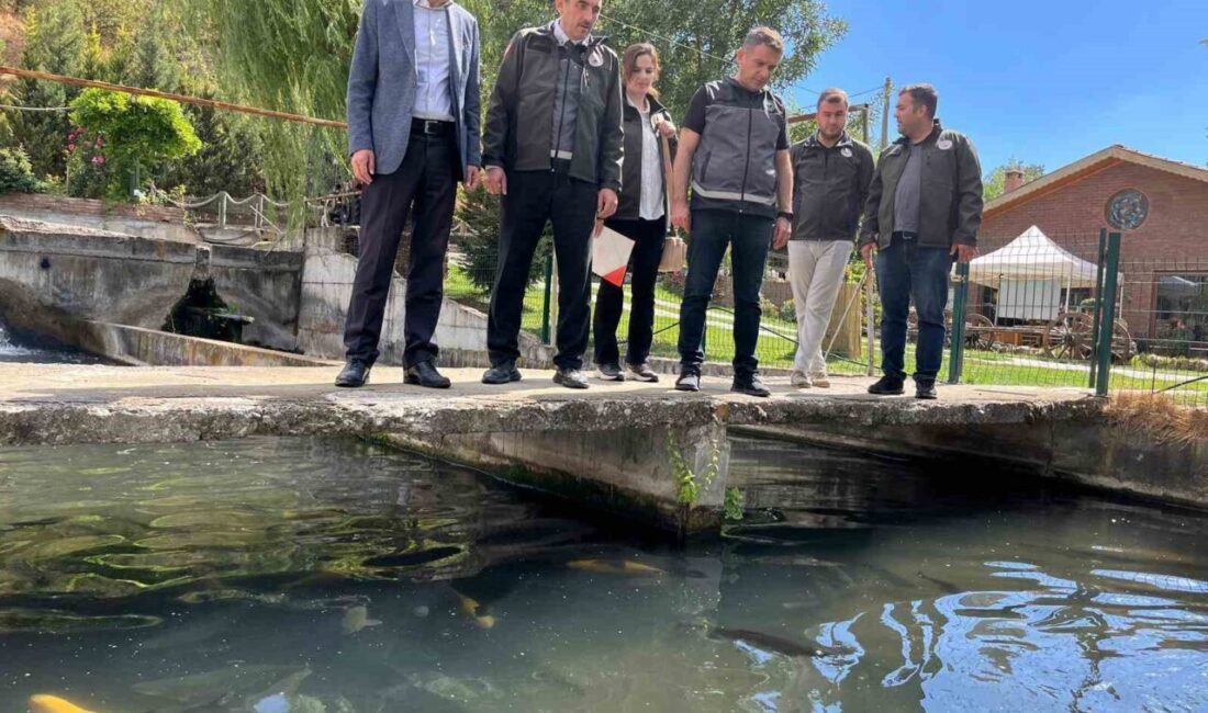 Bilecik’te faaliyet gösteren alabalık yetiştiricilik ve işleme tesisleri incelendi. Bilecik