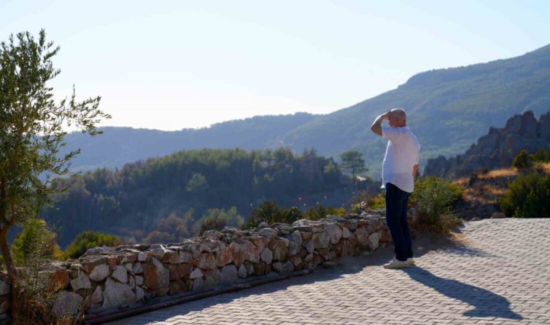 Alanya’da orman yangınlarından etkilenen mahallelerde incelemelerde bulunarak, muhtarlar ve vatandaşlarla