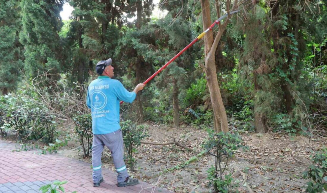 Alanya Belediyesi Park ve Bahçeler Müdürlüğü, 2025-2026 eğitim-öğretim yılı için