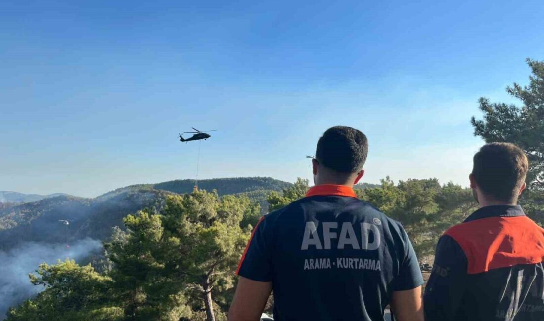 Antalya’nın Alanya ilçesinde Aliefendi, Kargıcak ve Ispatlı mahallelerinde çıkan orman