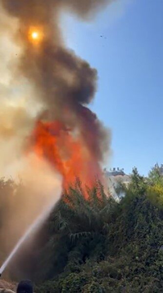 Antalya’nın Alanya ilçesinde çalılık alanda çıkan yangın seralara sıçradı. Çıkan