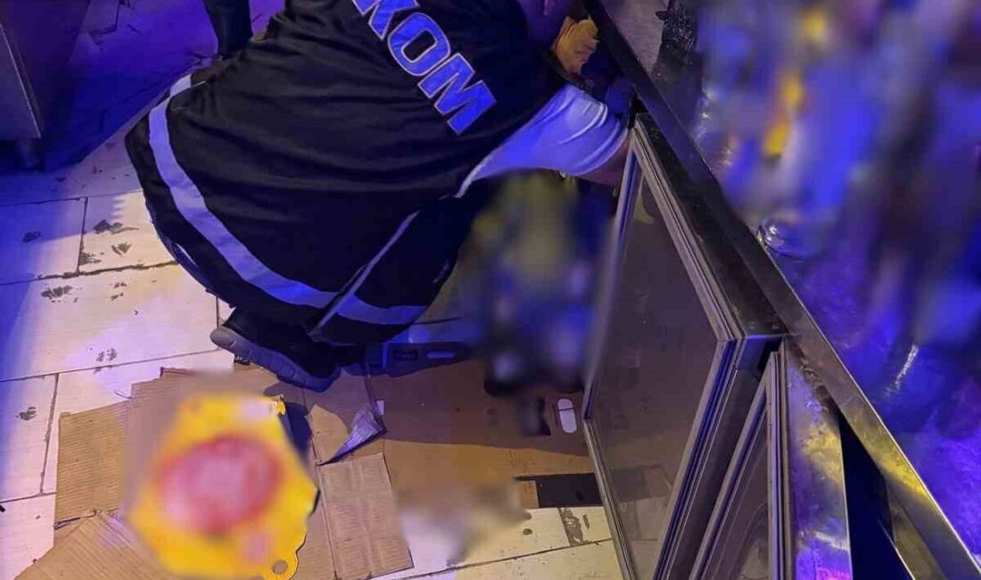 Antalya İl Emniyet Müdürlüğü ekiplerince Alanya’da 33 noktada gerçekleştirilen eş