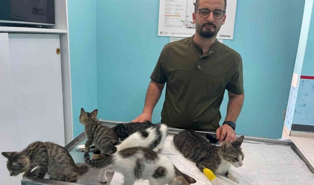 Antalya’nın Alanya ilçesinde motosikleti ve köpeğiyle iş yeri önüne gelen