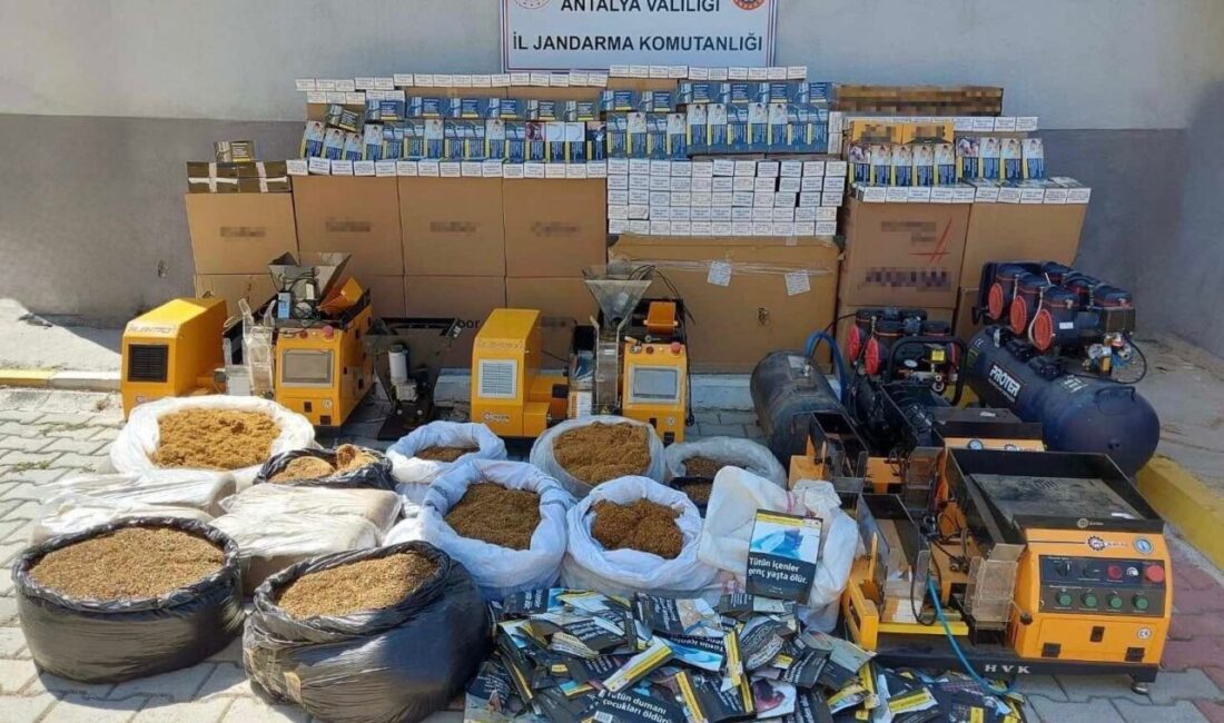 Alanya’da jandarma ekiplerinin düzenlediği kaçak tütün operasyonunda 226 bin 600