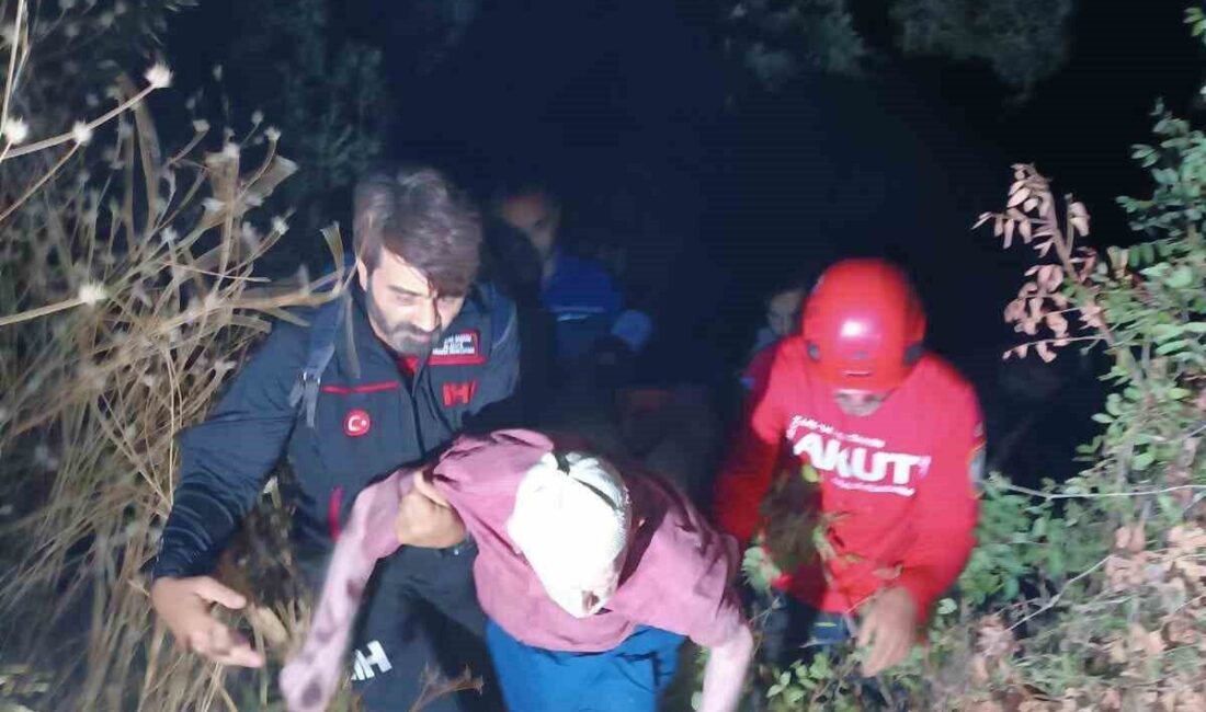 Antalya’nın Alanya ilçesine bağlı Asmaca Mahallesi’nde kaybolan 80 yaşlarında alzheimer