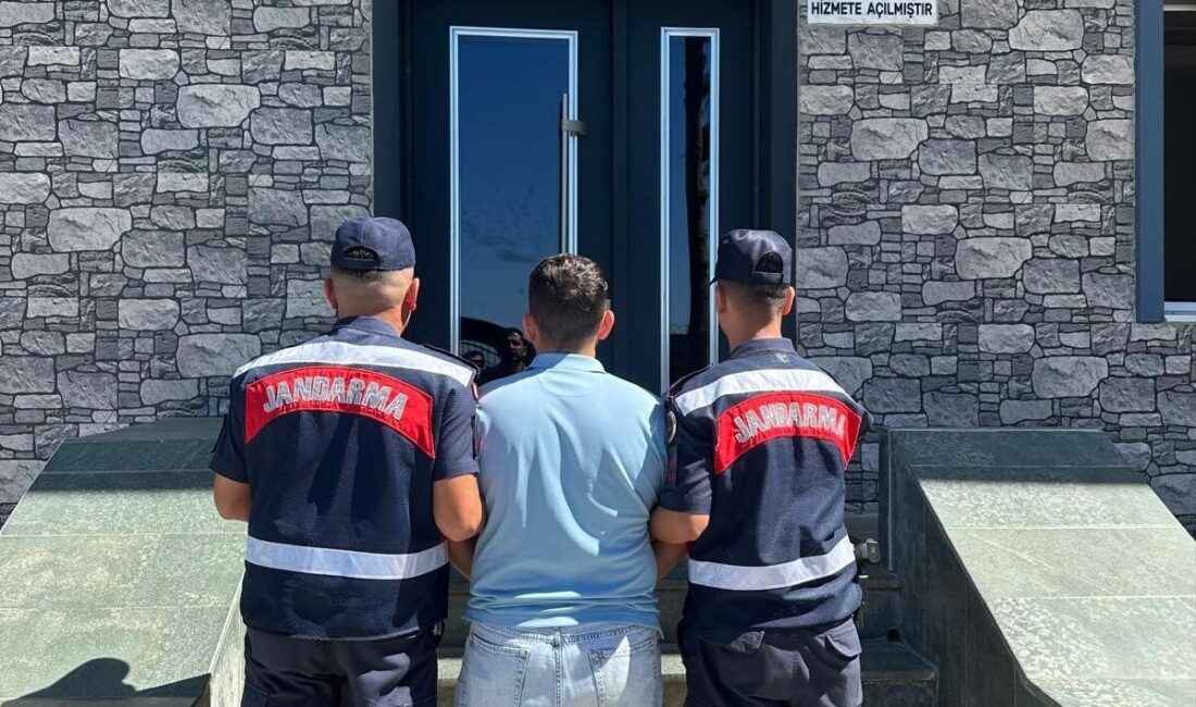 Antalya’nın Alanya ilçesinde çıkan orman yangınlarıyla ilgili sosyal medyada asılsız