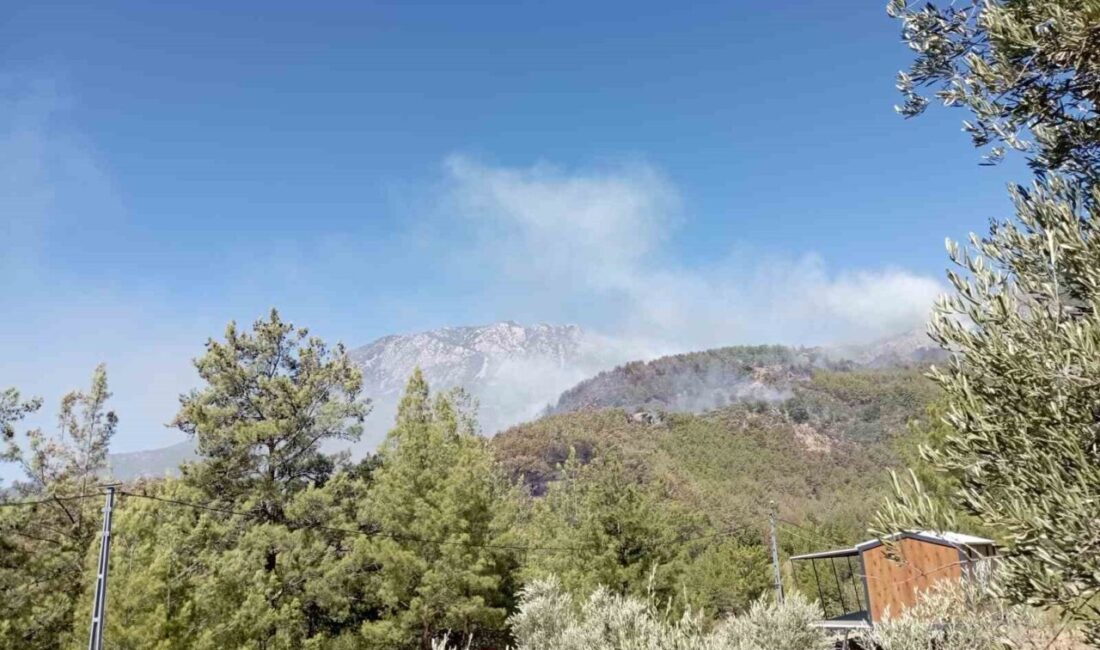 Alanya Belediye Başkan Yardımcısı Murat Koçak, Şıhlar Mahallesi ve çevresinde