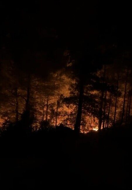Antalya’nın Alanya ilçesinde ormanlık alanda yangın çıktı. Edinilen bilgiye göre,
