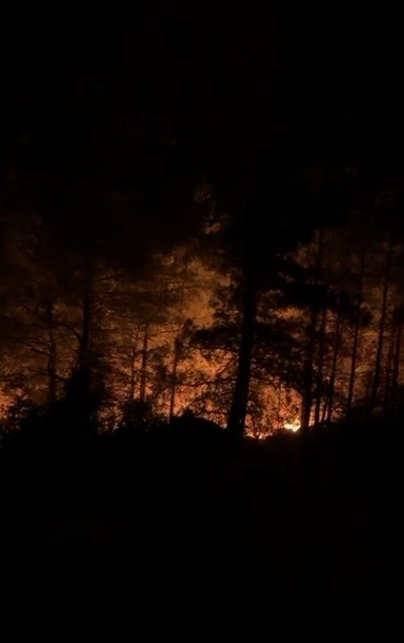 Antalya’nın Alanya ilçesinde ormanlık alanda yangın çıktı. Edinilen bilgiye göre,
