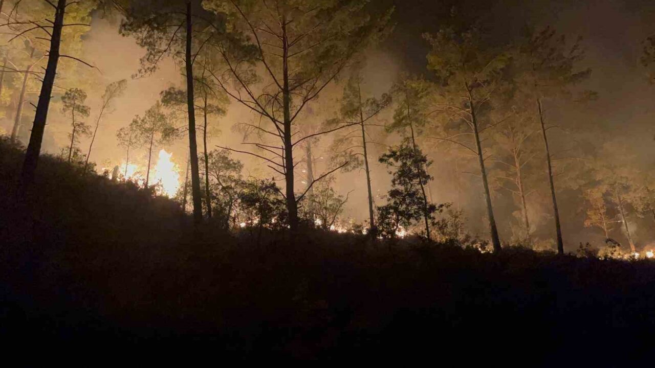 Antalya’nın Alanya ilçesinde ormanlık alanda 3 saat arayla çıkan iki