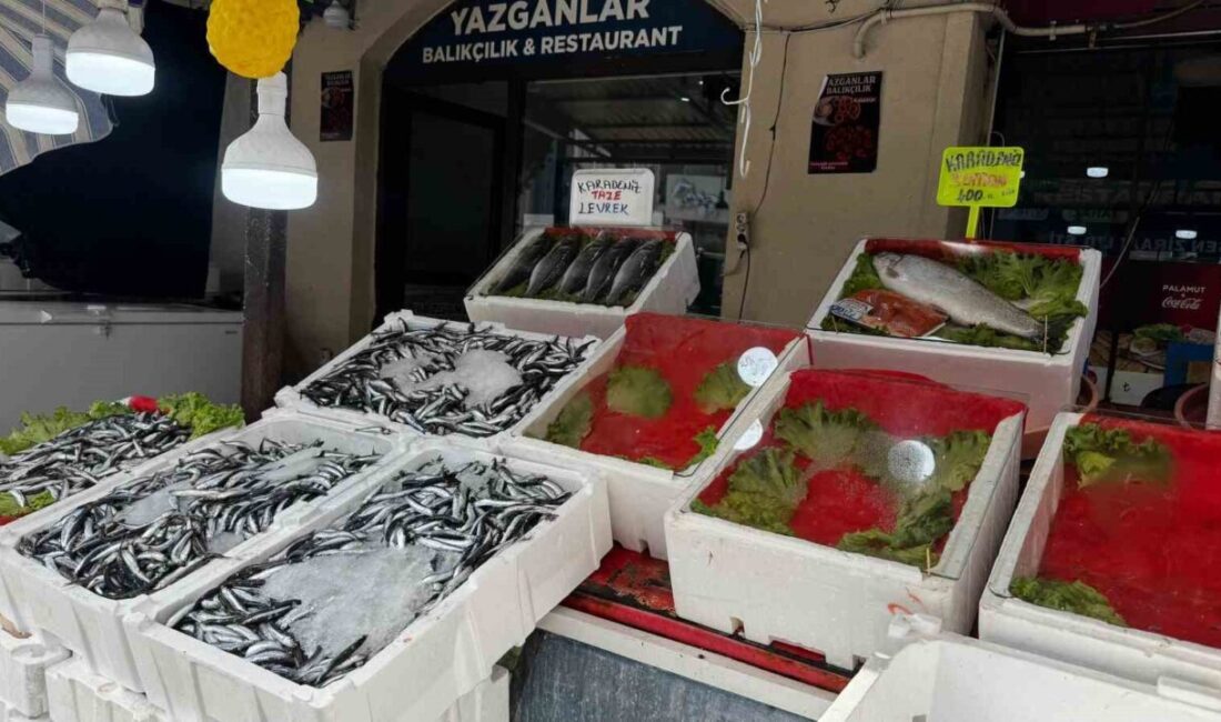 Zonguldak ve ilçelerinde balıkçı tezgâhları, Karadeniz’in bilinen fırtınalarından kestane karası
