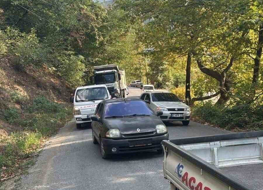 Zonguldak’ın Alaplı ilçesine bağlı Aşağıdağ Köyü’nde, ana yol üzerinde bir