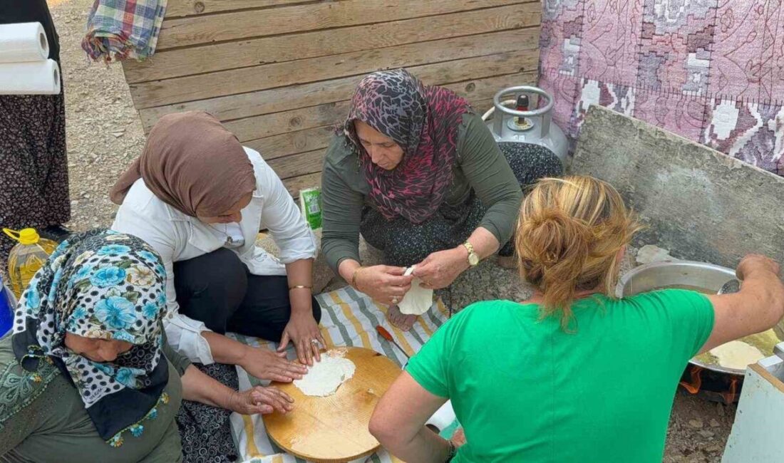 Antalya’nın Alanya ilçesinde devam eden orman yangını havadan karadan müdahaleyle