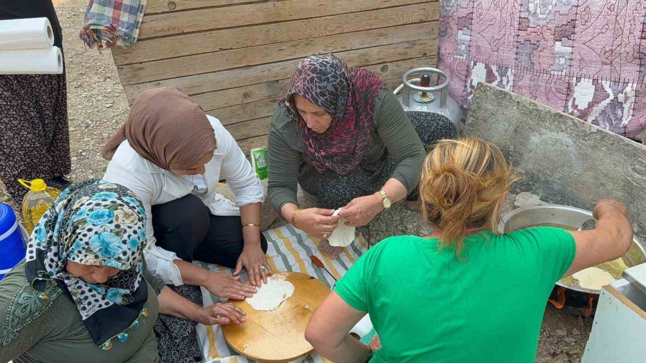 Antalya’nın Alanya ilçesinde devam eden orman yangını havadan karadan müdahaleyle
