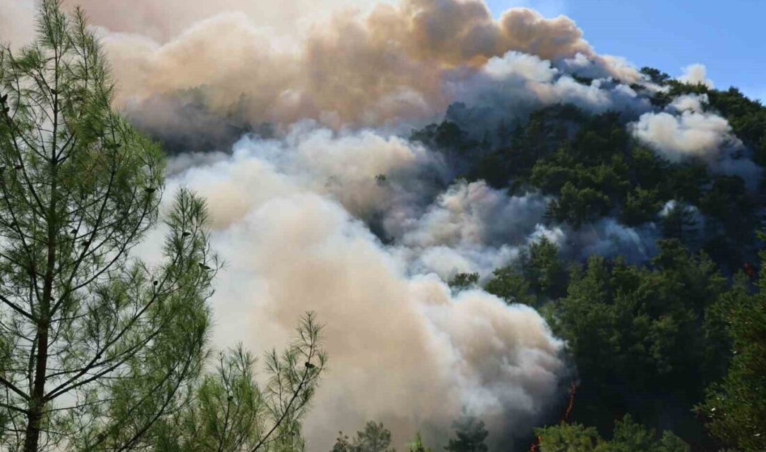 Muğla’nın Köyceğiz ilçesinde gece saatlerinde başlayan ve halen devam eden