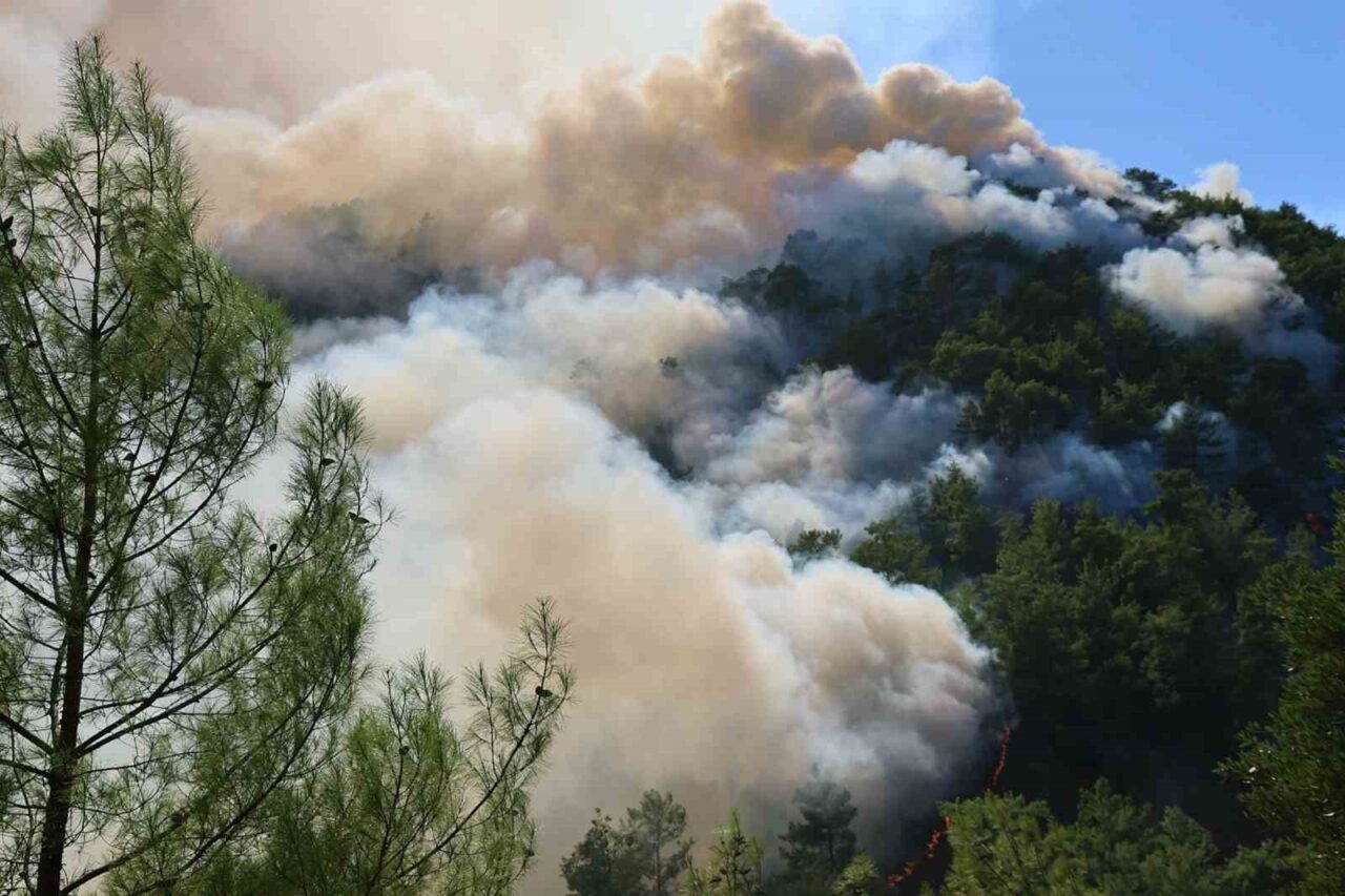Muğla’nın Köyceğiz ilçesinde gece saatlerinde başlayan ve halen devam eden