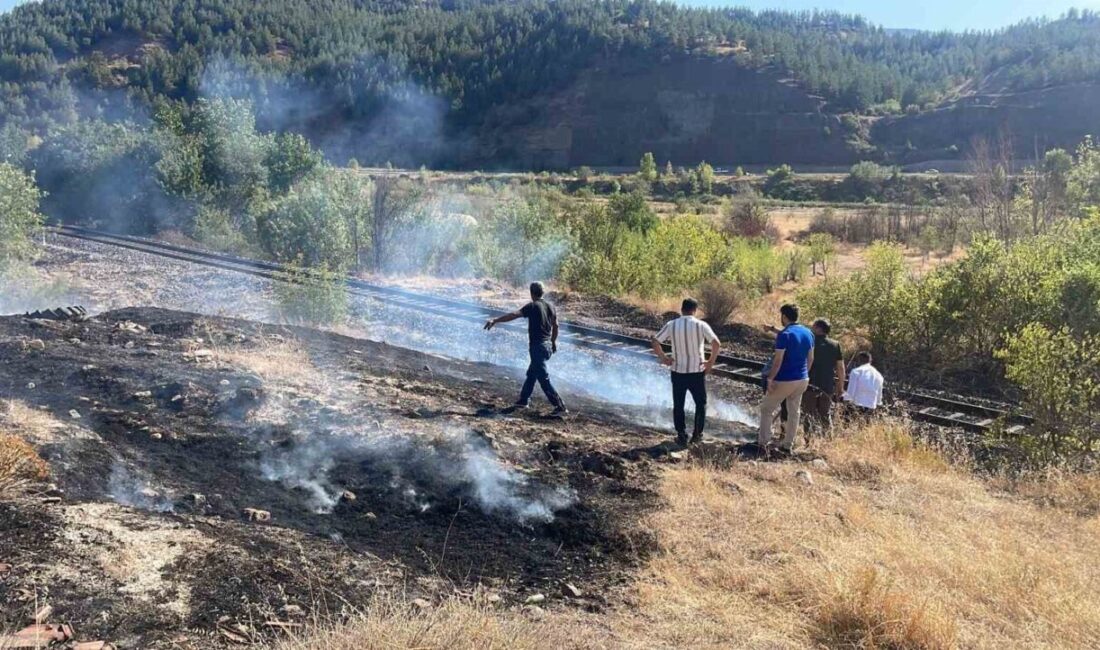 Karabük merkeze bağlı Aşağıkızılcaören köyü mevkisinde kuru otlarda çıkan yangını