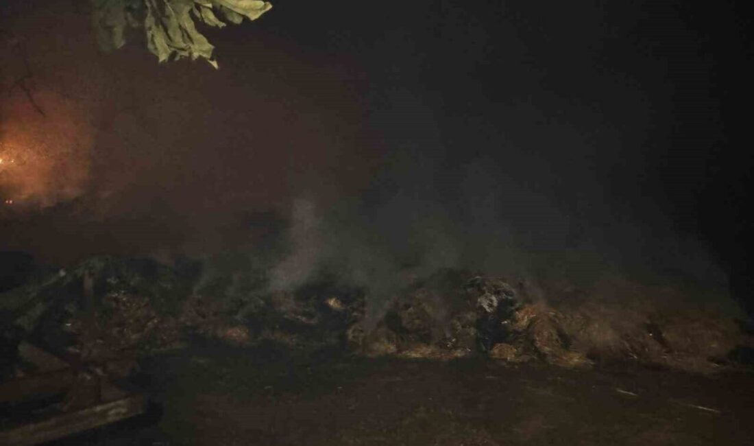 DENİZLİ(İHA) – Denizli’de 5 gündür süren yangın, rüzgarın etkisiyle büyüyerek