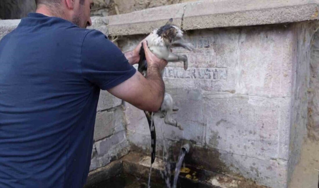 Erzurum’un Yakutiye ilçesine bağlı Kırmızıtaş Mahallesi’nde meydana gelen yangında alevler