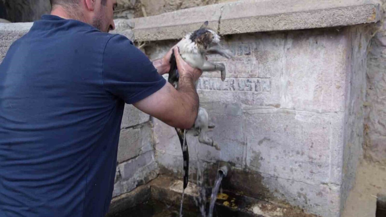 Erzurum’un Yakutiye ilçesine bağlı Kırmızıtaş Mahallesi’nde meydana gelen yangında alevler