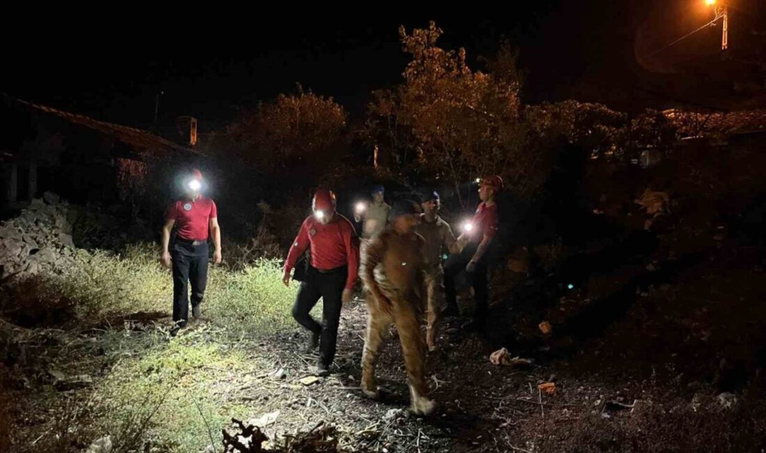 Aydın’ın İncirliova ilçesinde gece saatlerinde evinden çıkan ve bir daha