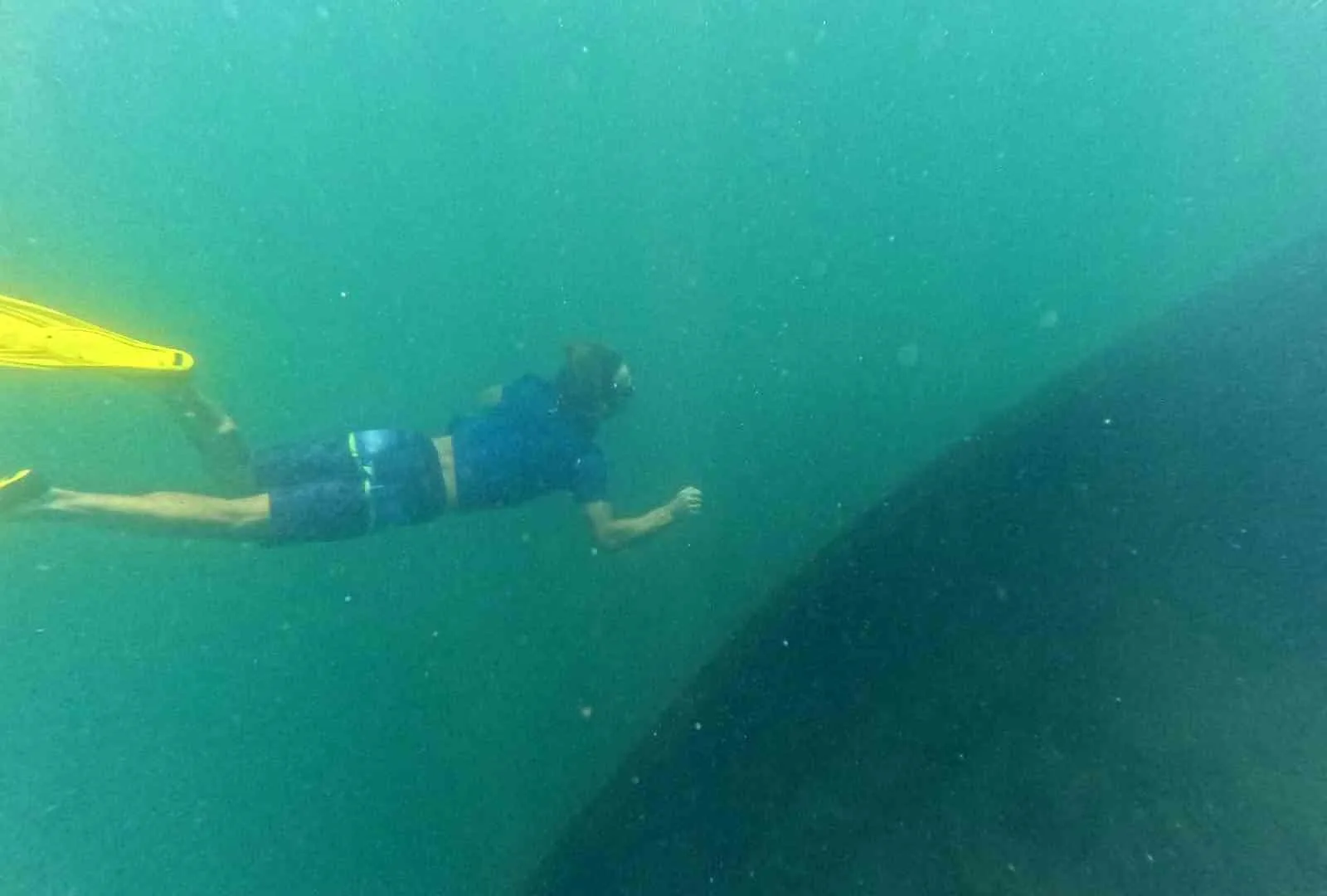 Bitlis’in Tatvan ilçesinde tüpsüz dalış yaparak Van Gölü’nün su altı