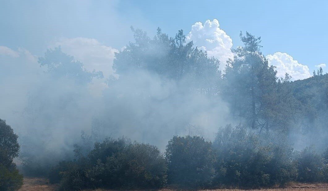 Kahramanmaraş’ın Andırın ilçesinde ormanlık alanda çıkan yangın söndürüldü. Yangın, ilçeye
