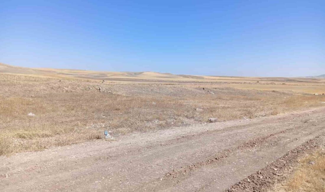 Ankara’da bacanağını tabancayla öldürdükten sonra, aynı silahla intihar eden saldırganın