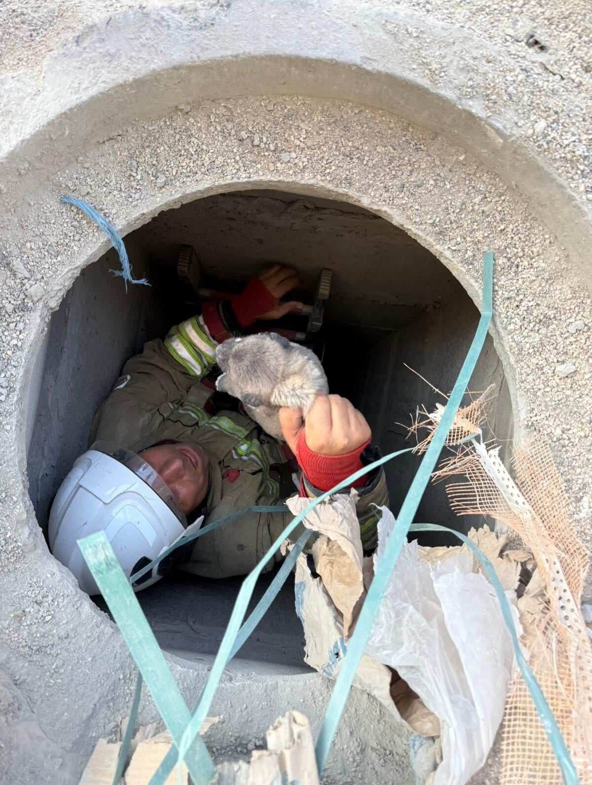 Hatay’da 5 metrelik kuyuya düşen yavru köpek, itfaiye ekipleri tarafından