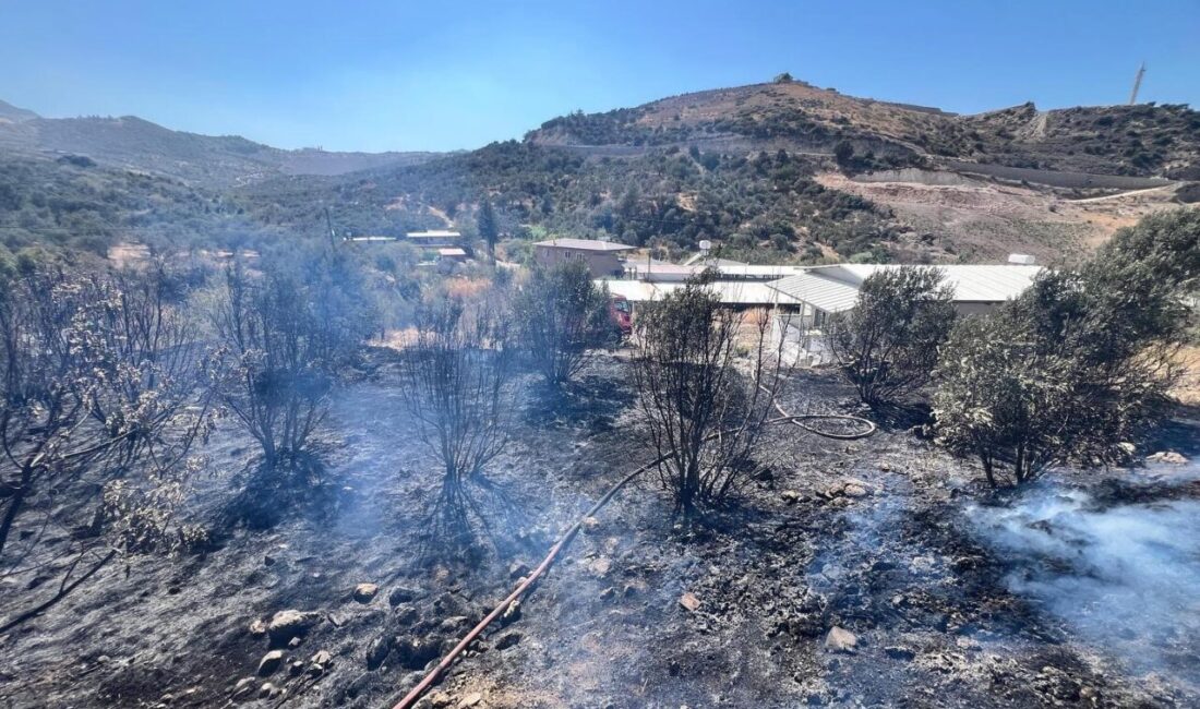 Hatay’ın Antakya ilçesinde bahçede çıkan yangın evlere sıçramadan söndürdü. Yangın,