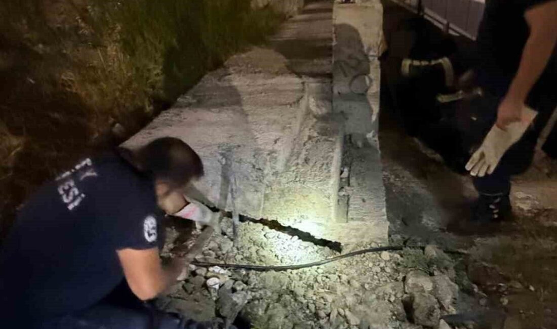 Hatay’da beton boru içerisinde sıkışan kediyi itfaiye ekipleri kurtardı. Antakya