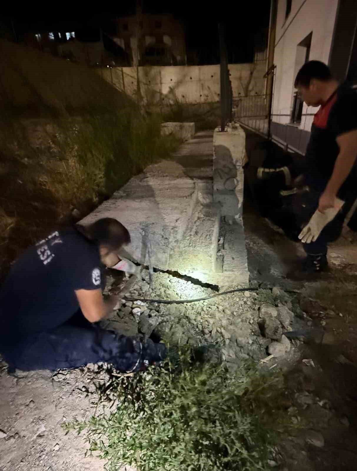Hatay’da beton boru içerisinde sıkışan kediyi itfaiye ekipleri kurtardı. Antakya
