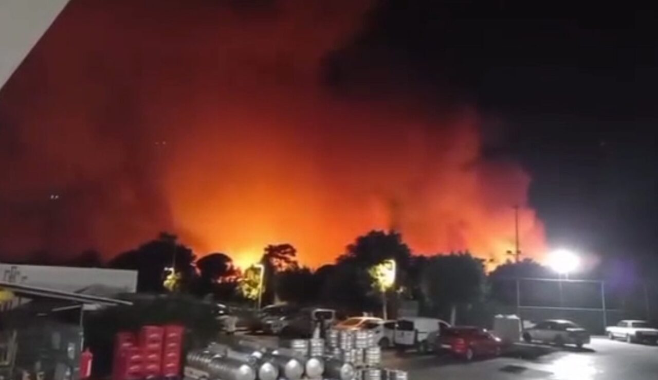 Antalya’nın Aksu ilçesinde ormanlık alanda yangın çıktı. Ekiplerin yangına müdahalesi