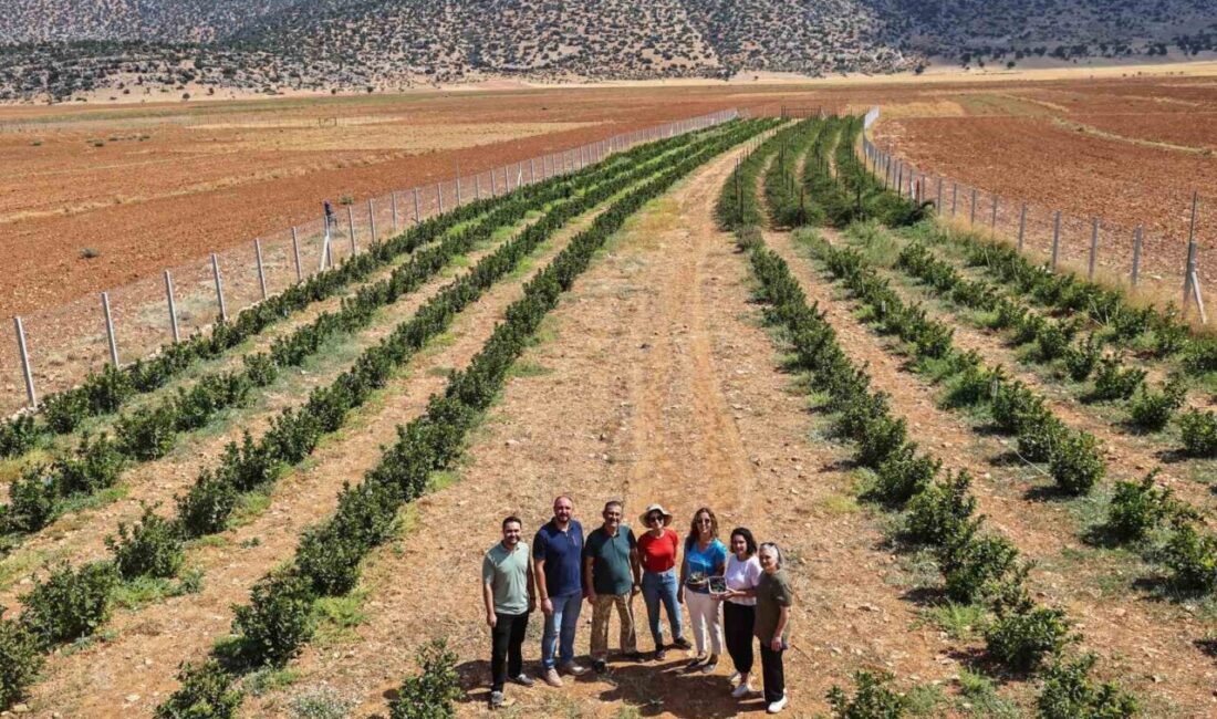 Antalya Büyükşehir Belediyesi’nin Korkuteli’nin Beğiş Mahallesi’nde hayata geçirdiği sulama suyu