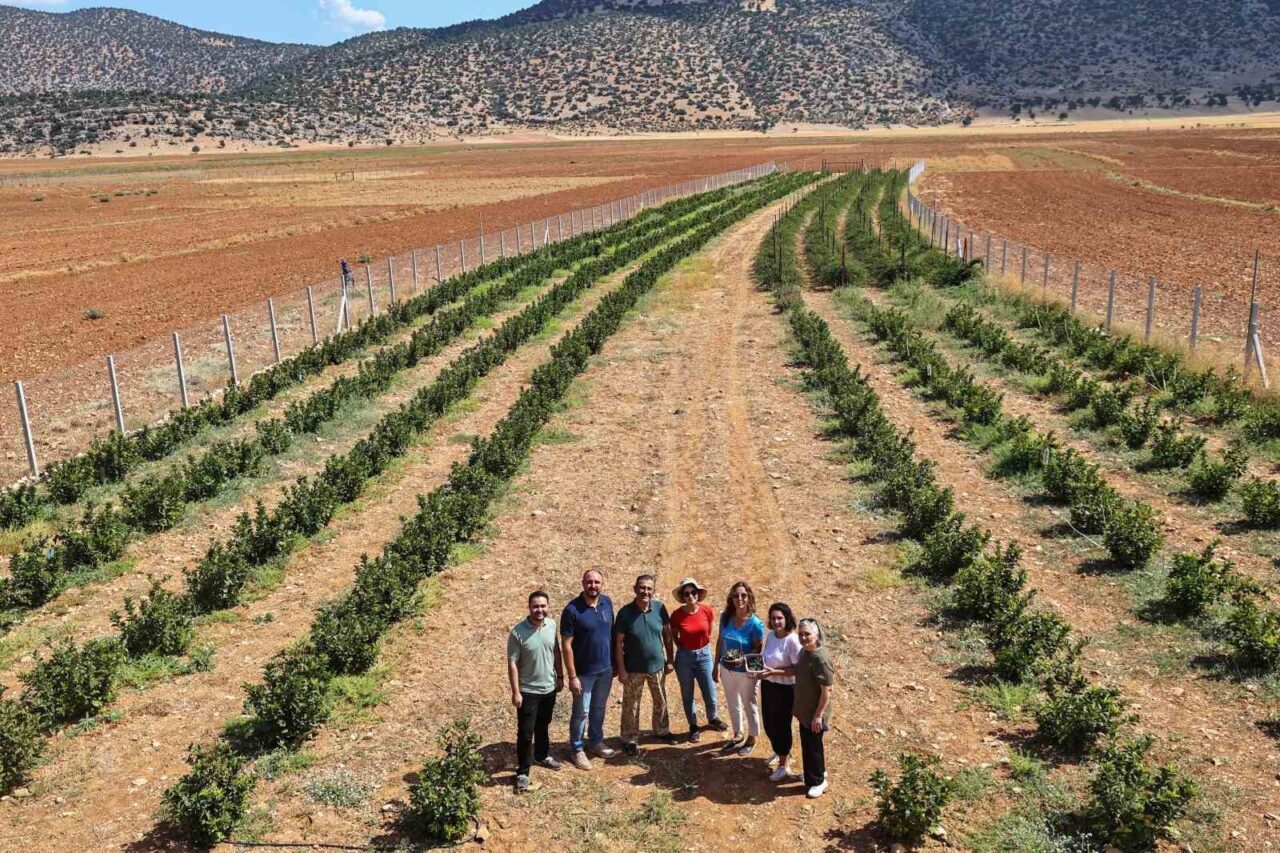 Antalya Büyükşehir Belediyesi’nin Korkuteli’nin Beğiş Mahallesi’nde hayata geçirdiği sulama suyu