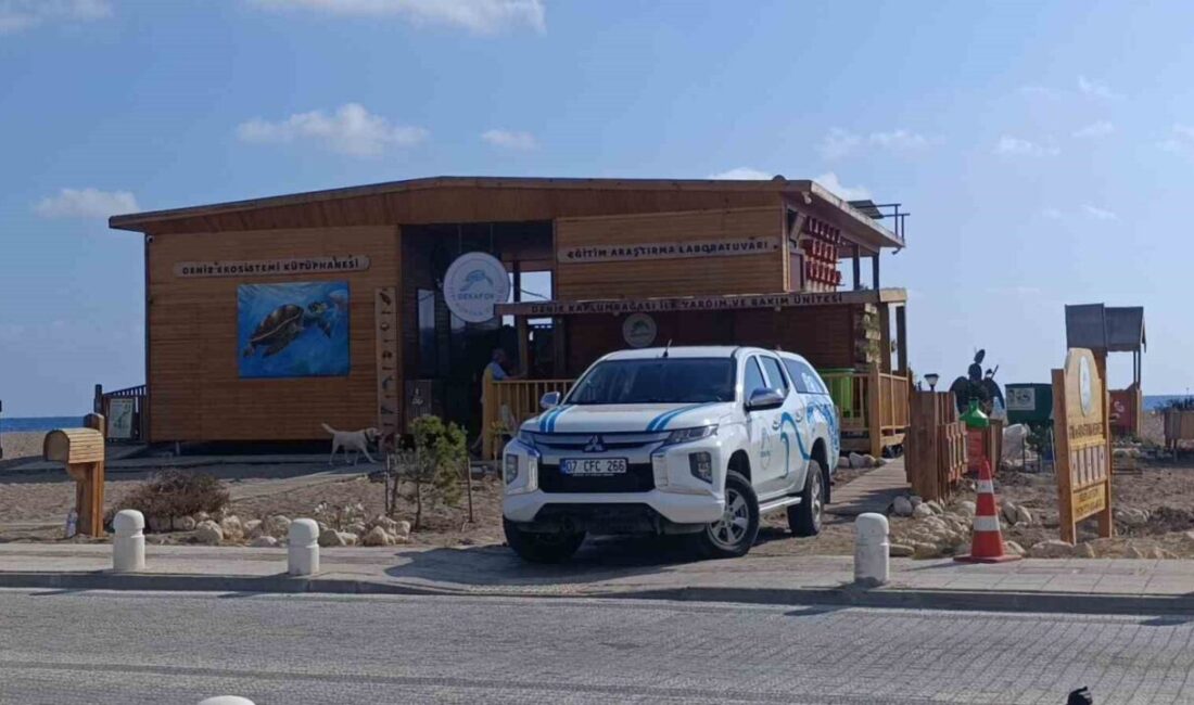 Deniz Kaplumbağaları ve Fokları Araştırma, Kurtarma, Rehabilitasyon ve Bilgilendirme Derneği