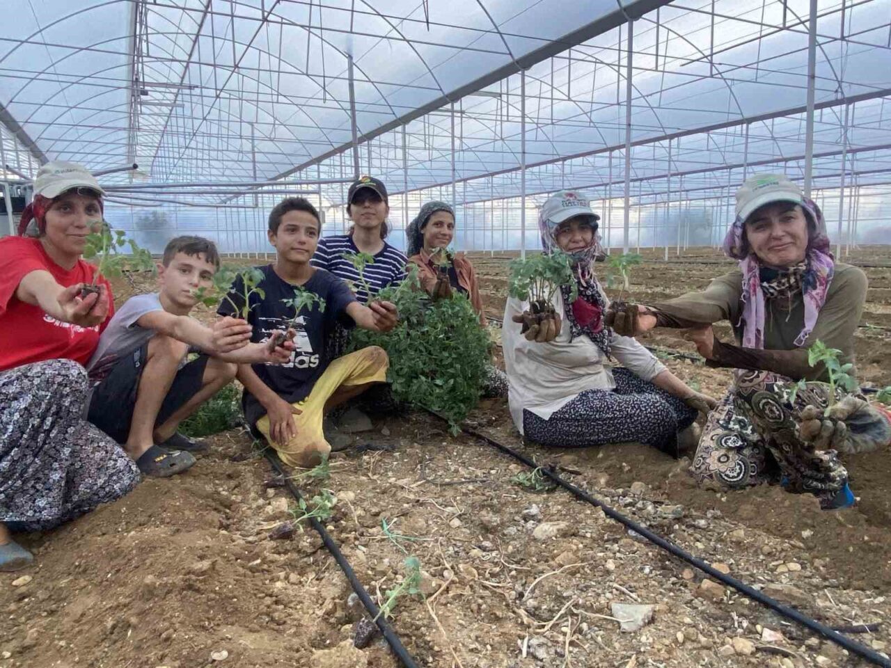 Antalya’nın önemli tarım merkezlerinden Aksu’da güzlük fide dikimleri başladı. Aksu