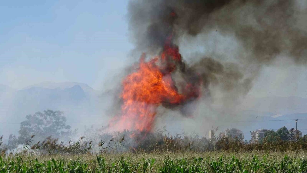 Antalya’da kargılık alanda başlayan ve rüzgarın etkisiyle hızla yayılan yangın,