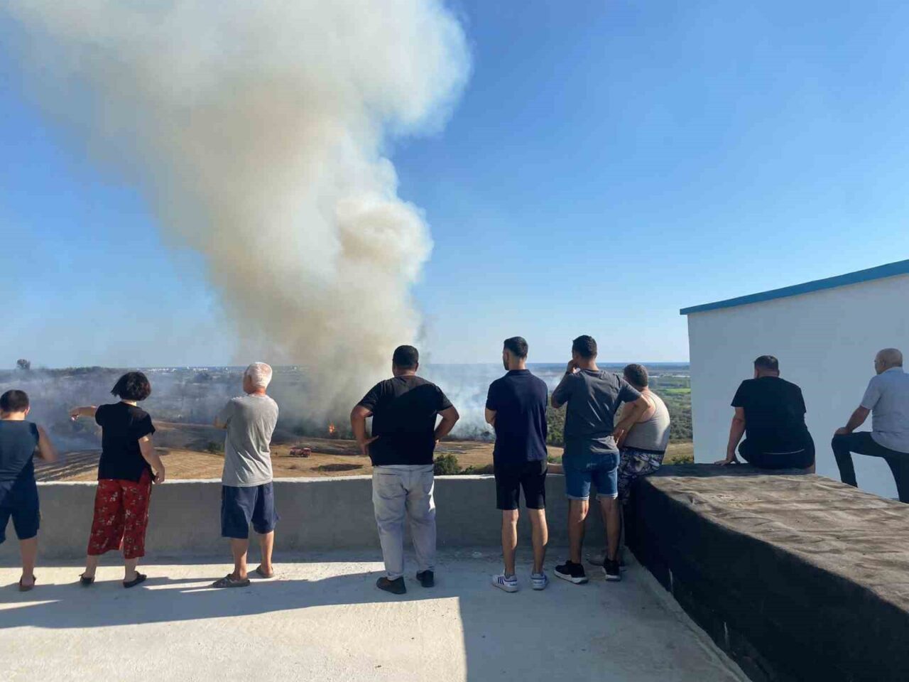Antalya’nın Serik ilçesinde makilik alanda çıkan yangın zeytin ağaçlarına zarar