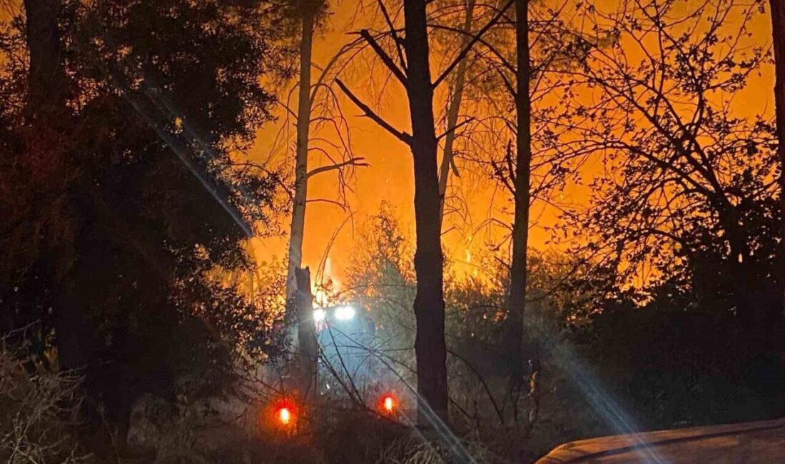 Antalya’nın Aksu ilçesinde ormanlık alanda yangın çıktı. Yangına ekiplerin müdahalesi