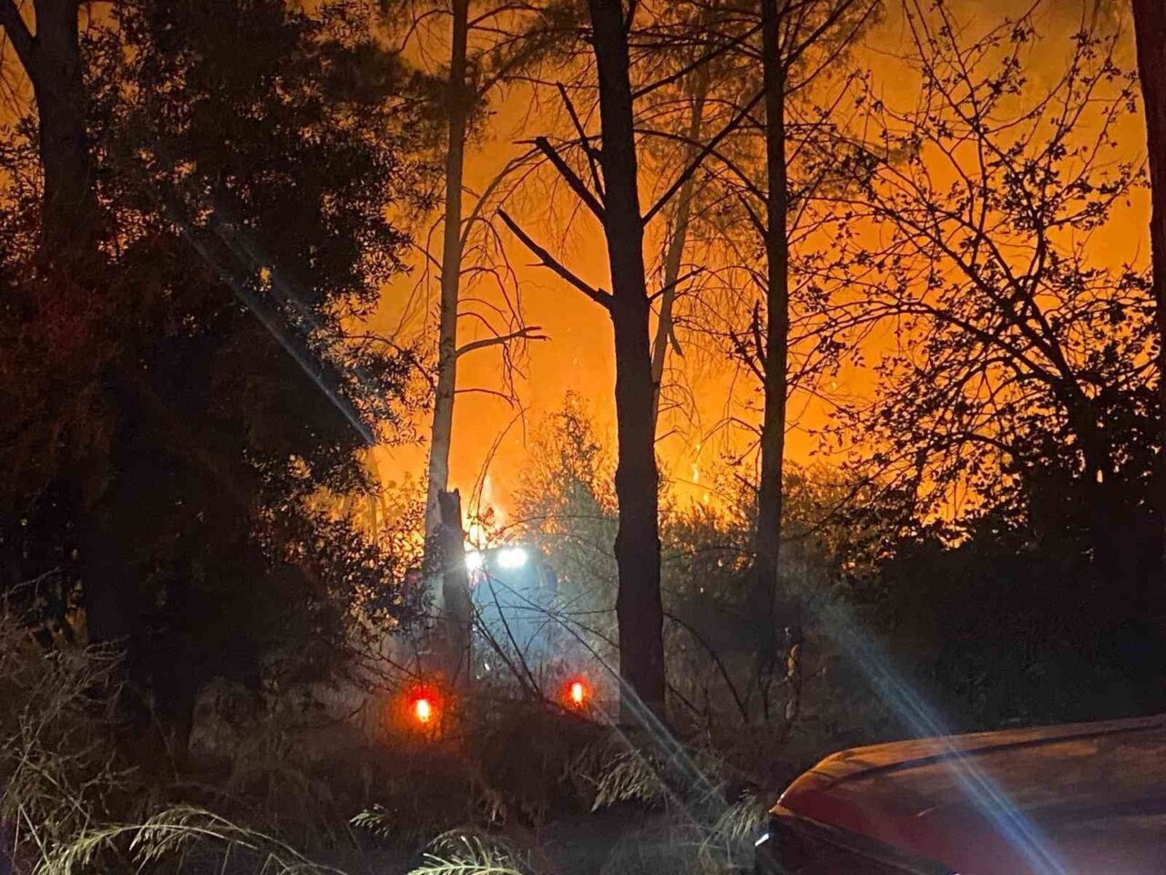 Antalya’nın Aksu ilçesinde ormanlık alanda yangın çıktı. Yangına ekiplerin müdahalesi