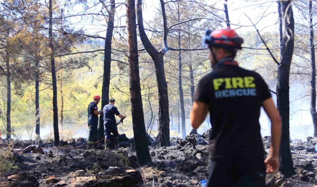 Antalya’da öğlen saatlerinde ormanlık alanda başlayan yangın ekiplerin hızlı müdahalesi