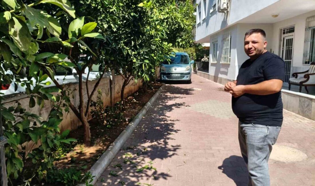 Antalya’da aynı apartmanda yaşayan komşuların bahçedeki ağaçtan portakal koparma tartışmasında