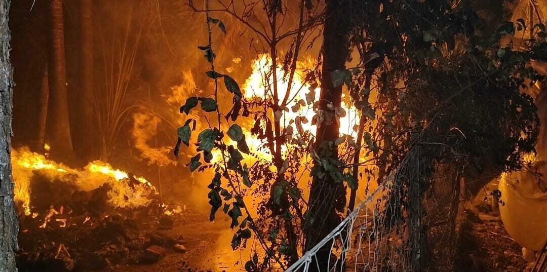 Antalya’nın Aksu ilçesinde sazlık alanda çıkan yangın paniğe yol açtı.