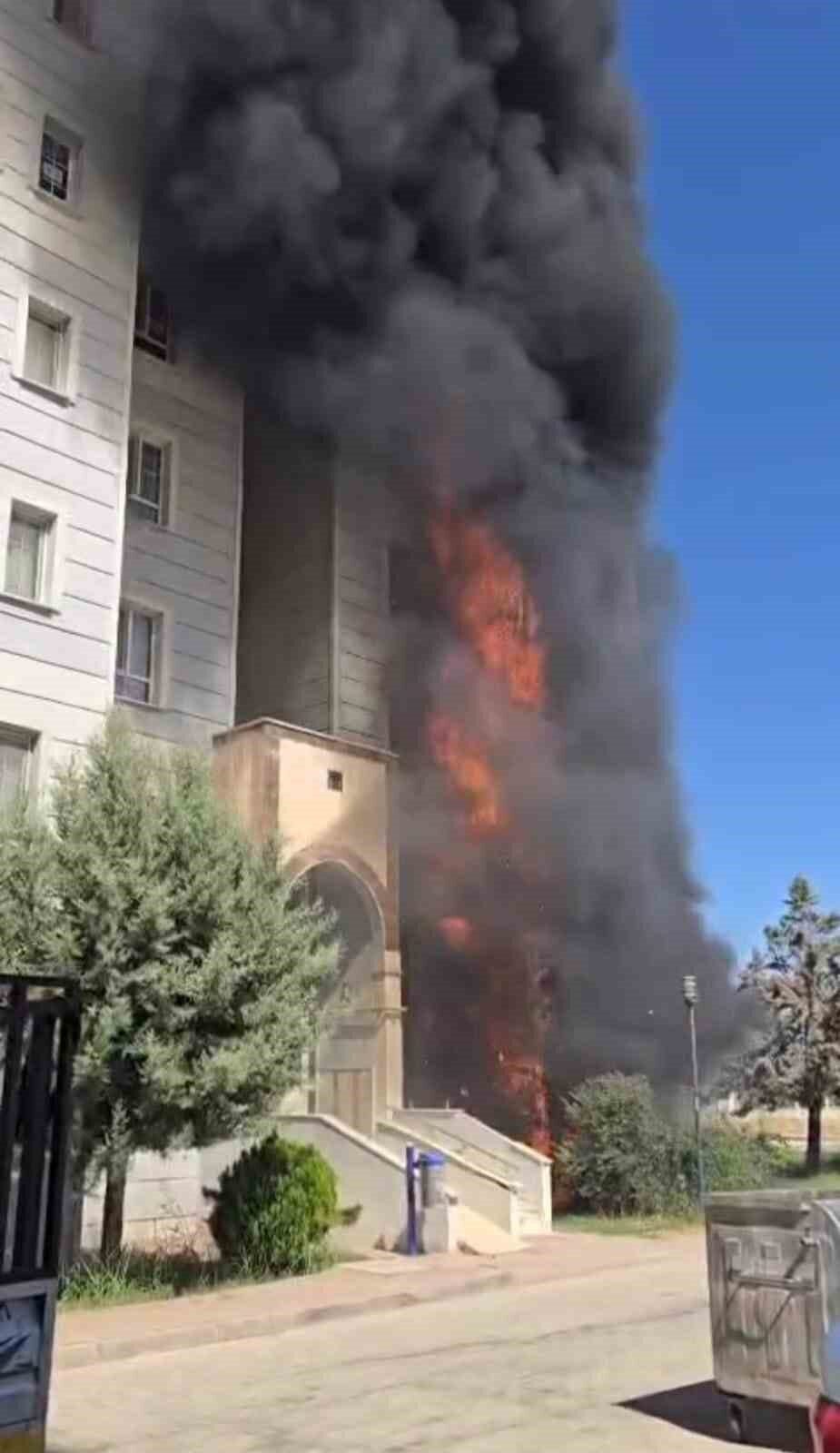 Şanlıurfa’nın Viranşehir ilçesinde 7 katlı bir apartmanın giriş katında çıkan