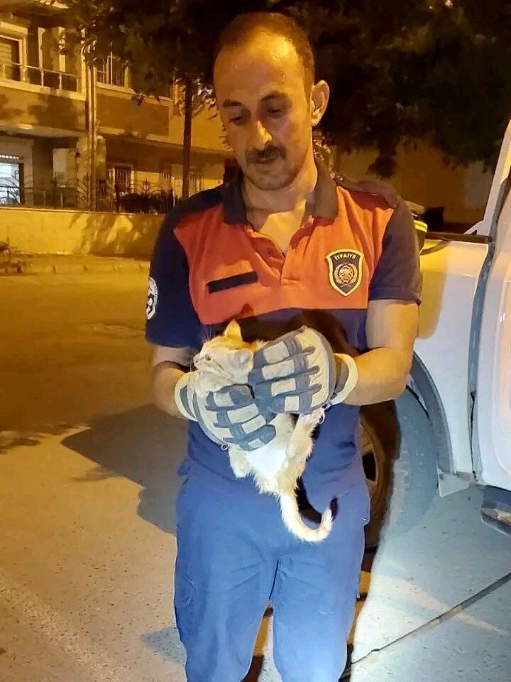 Hatay’ın İskenderun ilçesinde aracın motor kısmına giren yavru kedi, itfaiye